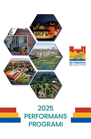 2025 Performans Programı